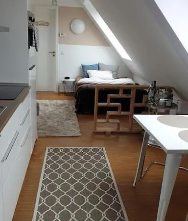 Loft Klein & Suss Im Zentrum Von Munster (North Rhine-Westphalia)